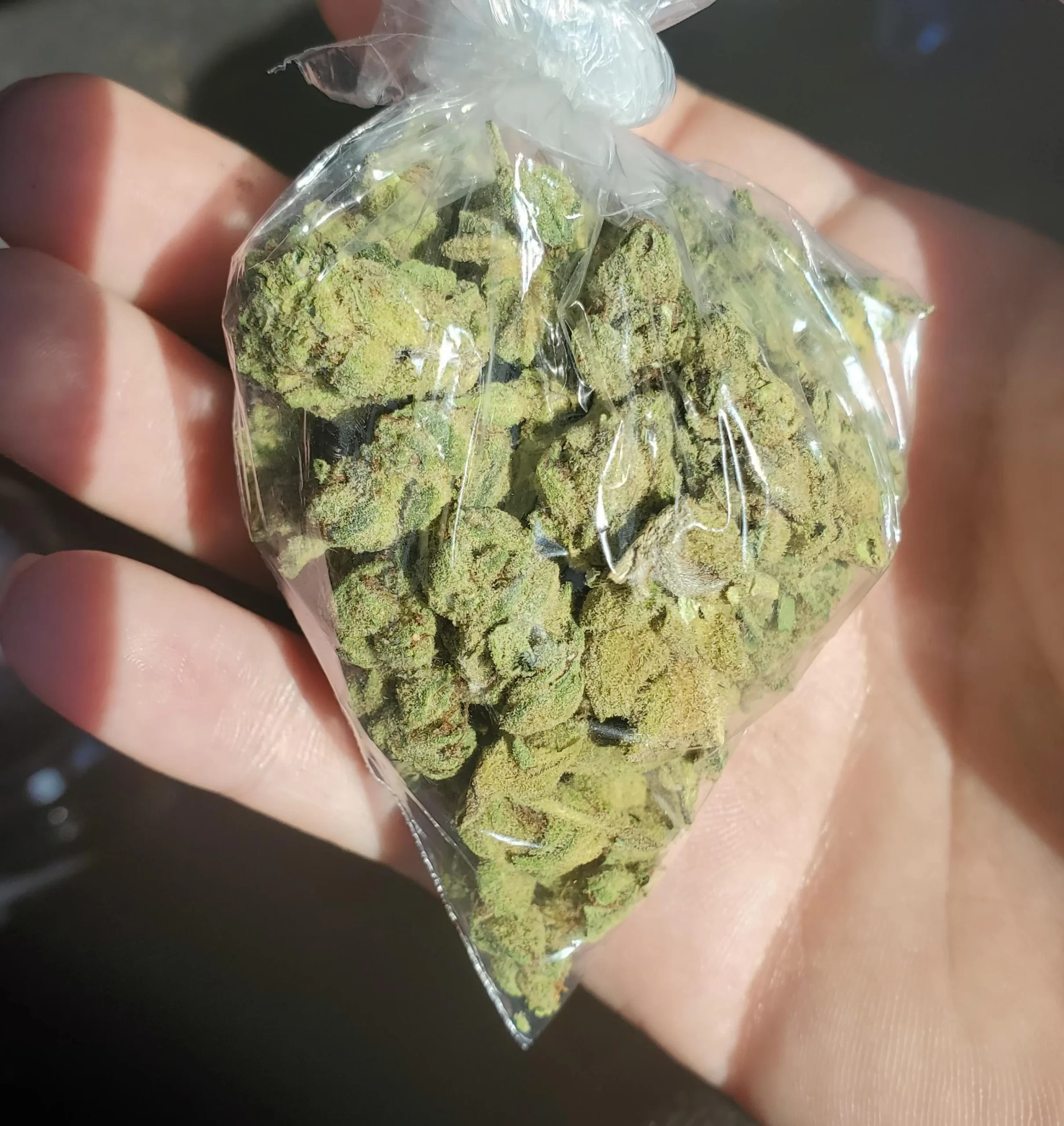 What Does 7g Of Weed Look Like?